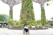 Trip Planning: Travel Agents, Accessible Accommodation & Insurance
